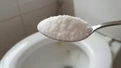 Nasypte do záchodové mísy na noc pouhou jednu lžičku tohoto domácího prostředku – a zapomeňte na zápach i vodní kámen